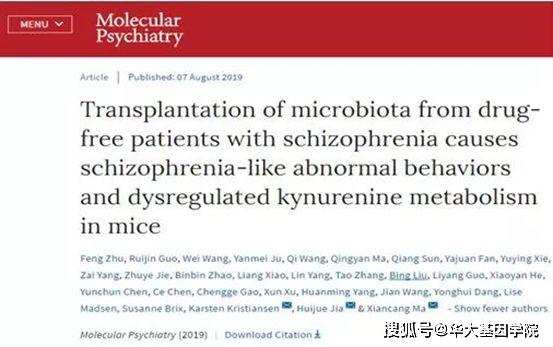 精分最新研究和突破,精分最新研究和突破，探索精神分裂症的新领域