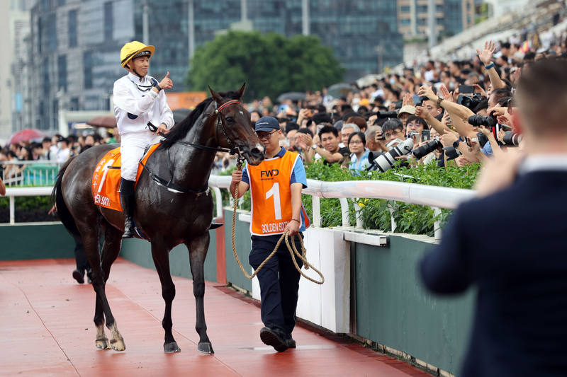 2024今晚香港开特马,今晚香港开特马，探寻赛马文化中的激情与魅力