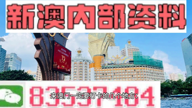 2024新澳门精准正版免费资料,探索新澳门，2024年精准正版免费资料的魅力与价值