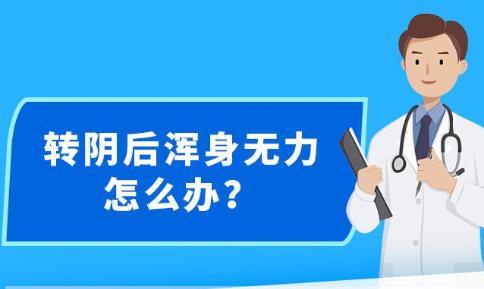 新澳精准资料免费,新澳精准资料免费，助力个人与企业的成功之路