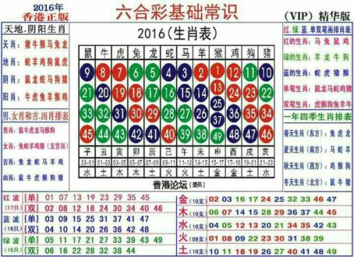 2024十二生肖49码表,揭秘2024十二生肖与数字彩票的奇妙联系——揭秘49码表中的生肖密码