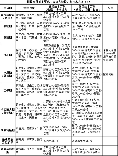 新澳精准资料期期精准24期使用方法,新澳精准资料期期精准24期使用方法，揭秘高效投注策略