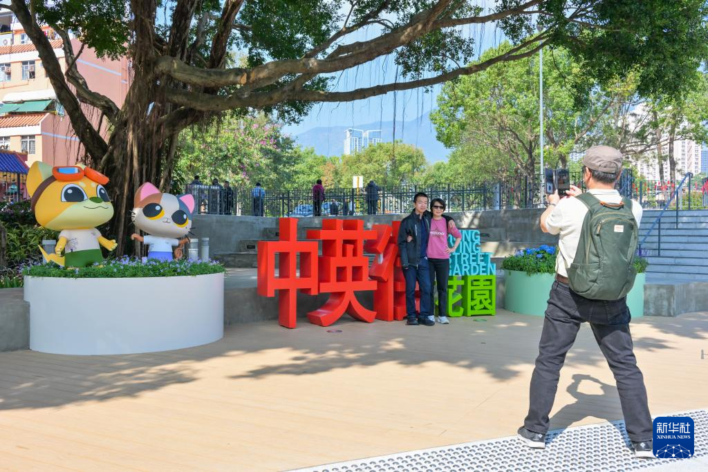 香港期期准正版资料大全,香港期期准正版资料大全，深度探索与理解