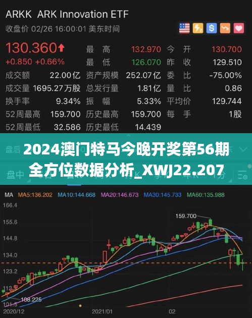 2024澳门特马今晚开,澳门特马今晚开，探索未来的机遇与挑战