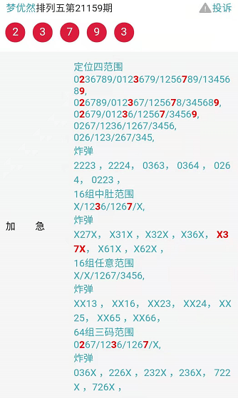 2025年2月2日 第13页