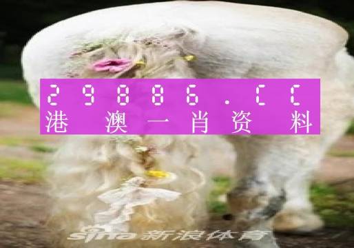 澳门一肖一码必中一肖213期039期 03-19-33-39-49-04T：28,澳门一肖一码必中技巧揭秘，探索第213期与第039期的奥秘