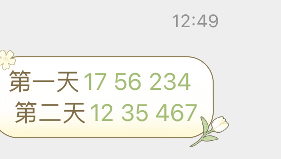 澳门今晚开特马 开奖结果课049期 02-04-09-25-28-45R：48,澳门今晚开特马，开奖结果课第049期揭晓与数字背后的故事